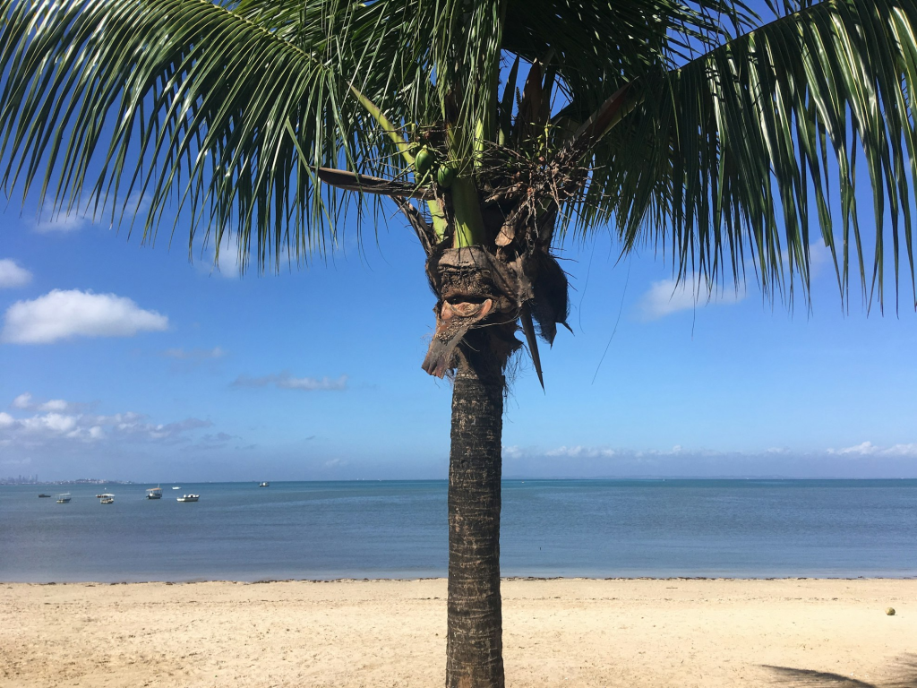 salvador de bahia playas 01