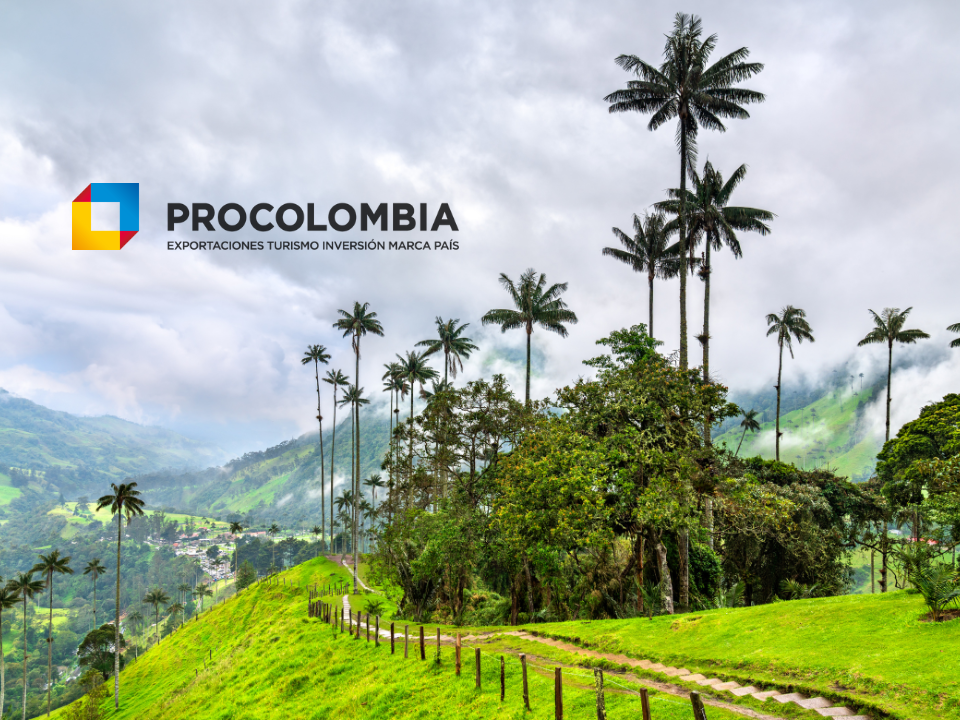 Conocé el Eje Cafetero de Colombia