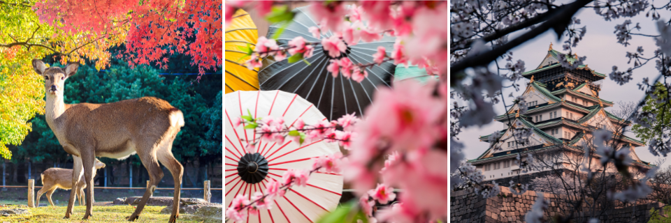 Japón: paisajes increíbles