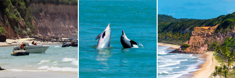 Playas de película y delfines