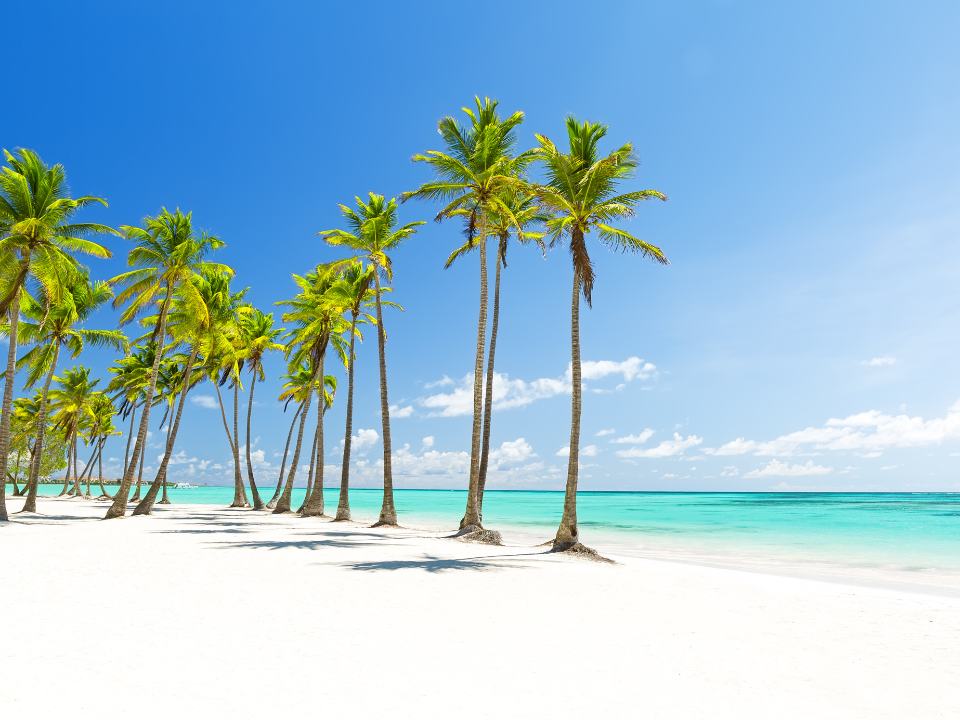 Vacaciones de julio en Punta Cana