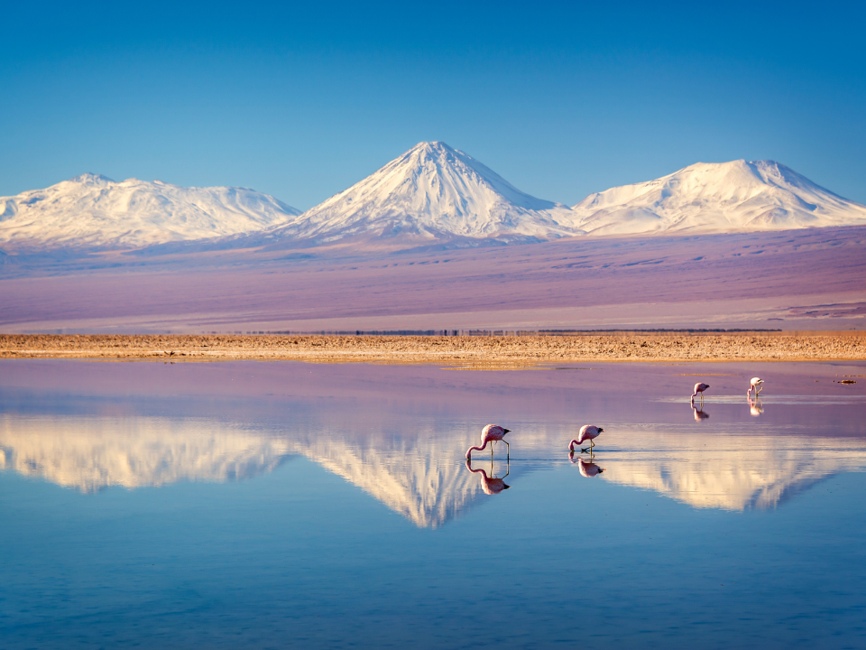 Paisajes Ășnicos en Atacama, Chile